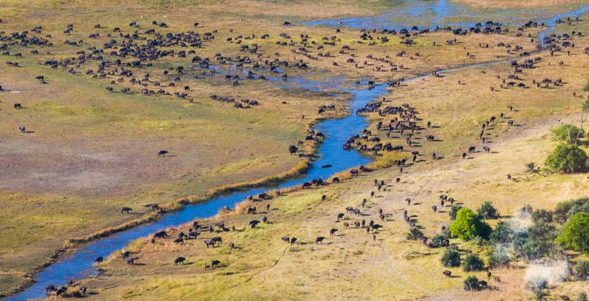 Okavango Delta